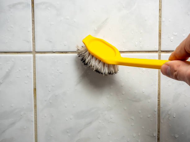 Best Industrial Mold Remediation in Del Rey, CA