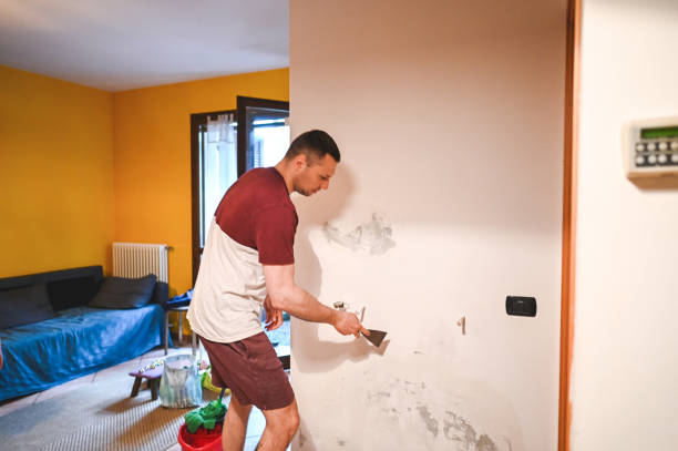 Best Basement Mold Remediation in Del Rey, CA